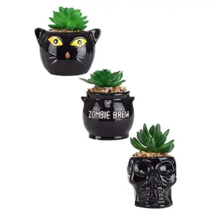 Cauldron, Cat & Skeleton Succulent Decorative Planter Set