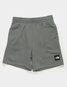 THE NORTH FACE Box NSE Mens Shorts