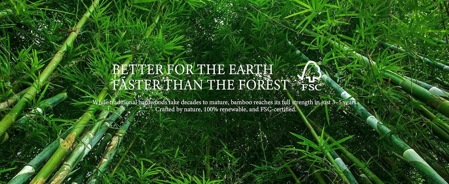 Yechen Bed Frame, Bamboo Platform Bed with Headboard, Noise Free Wood Slats and Metal Beam Support, Easy Assembly with Mortise & Tenon Joint, No Box Spring Needed, Japanese Style, (Queen, King) (Natural, Walnut) Yechen Bed Frame, Bamboo Platform Bed with Headboard, Noise Free Wood Slats and Metal Beam Support, Easy Assembly with Mortise & Tenon Joint, No Box Spring Needed, Japanese Style, (Queen, King) (Natural, Walnut)