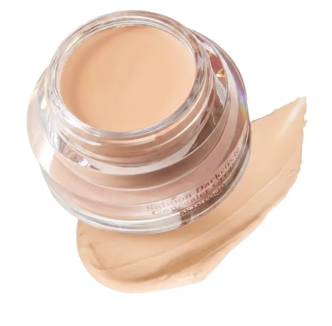 SKINFOOD Salmon PDRN Dark Circle Concealer Cream - 1 Blooming, Under Eye Concealer for Dark Spots and Wrinkles, Full Coverage, Stocking Stuffer, 10 g (0.35 Oz)