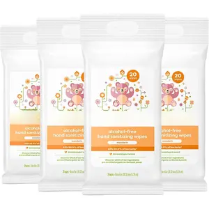 Alcohol-Free Hand Sanitizing Wipes, Mandarin, Kills 99.9% of Common Bacteria, Moisturizing, 80 ct (20 count, 4 pack), Packaging May Vary