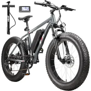ZNH-gery 24"×4.0" Fat Tire Electric Bike for Adults, 48V 13Ah Removable Battery E-Bike, Up to 80 Miles Range, 7-Speed Gears, Hydraulic Suspension, LCD Display, UL Certified