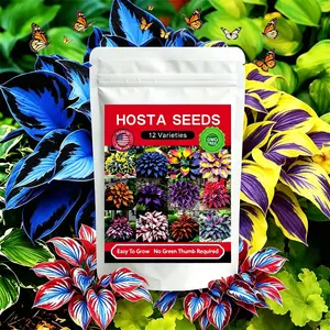 12000+Pcs Hosta Seed 12 Varieties Rare Heirloom Shade-Loving Seeds Non-GMO Perennial Plants for Outdoor Garden Landscaping Easy To Grow No Green Thumb Required