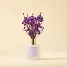 COCORRINA Lavender-Thyme Scented Diffuser Set - Vegan, Cruelty-Free, Eco-Minded, Eco-Friendly, Formaldehyde-Free, Reusable Aroma Freshener with Spearmint, Long-Lasting Home Fragrance, Dried Flowers for Bedroom, Bathroom Shelf Decor, Selfcare Essential