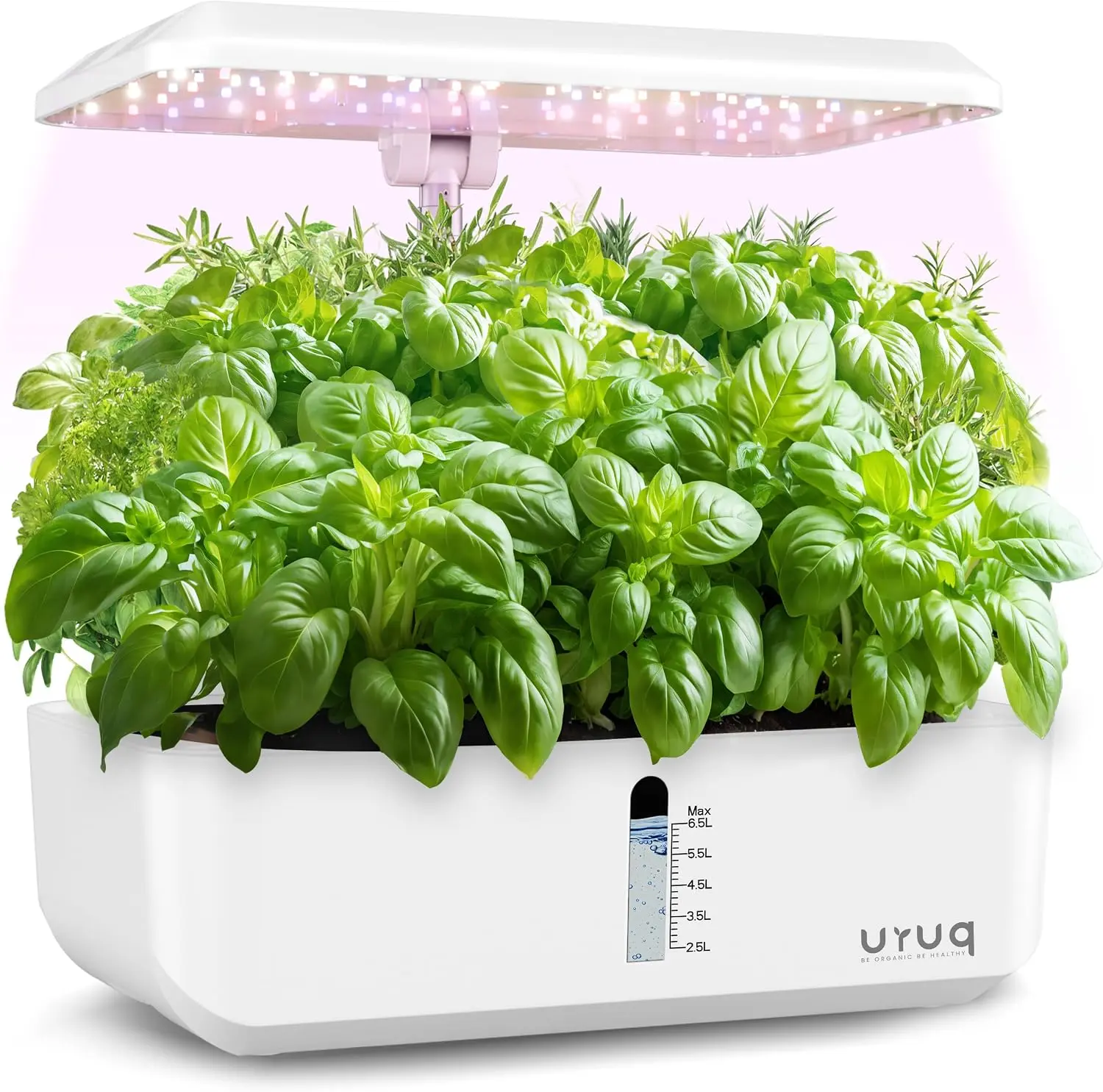 Hydroponics Growing System Indoor Garden: URUQ 12 Pods Indoor Gardening System with LED Grow Light Height Adjustable Plants Germination Kit Quiet Smart Pump - Hydroponic Planter Fresh Harvest White