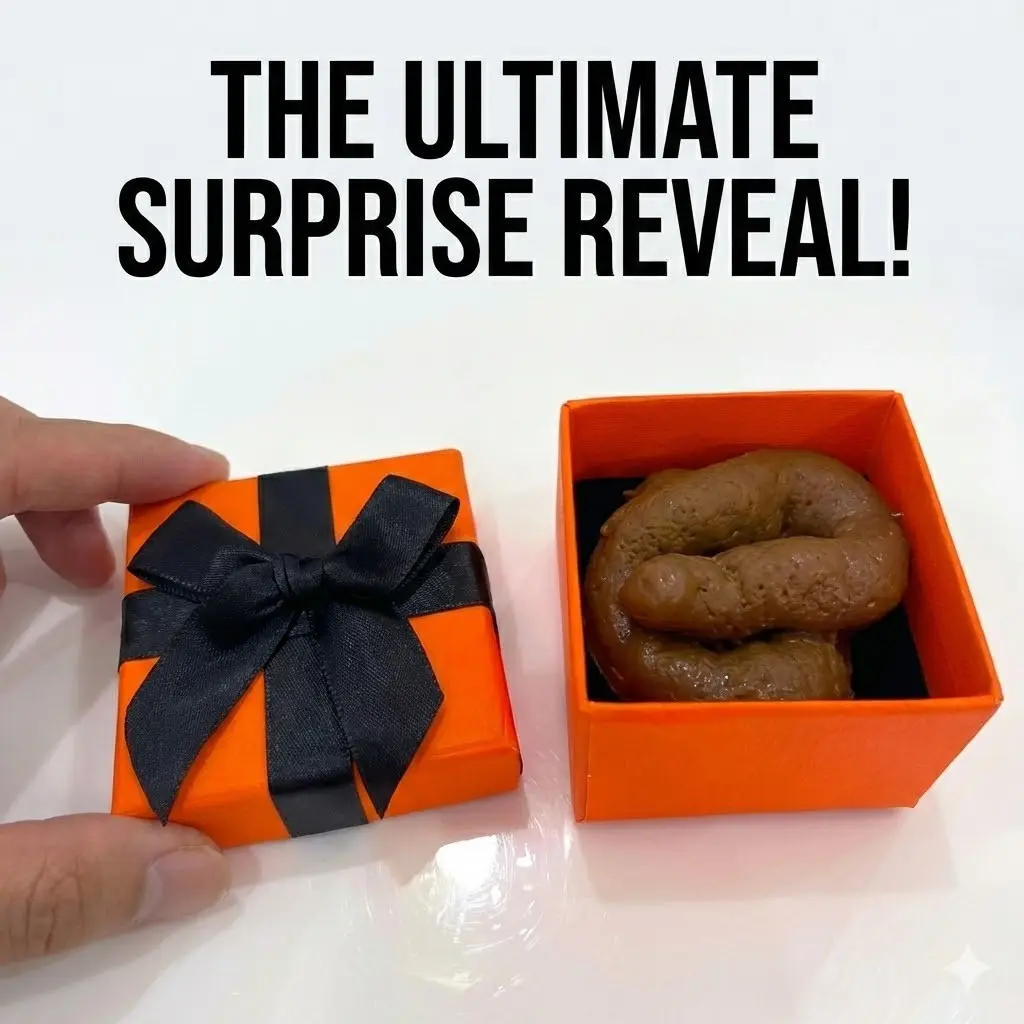 Funny Prank Gift Box with Realistic Faux Feces - Creative Prank Gift, Ultimate April Fools' Day Surprise & Birthday Gag Gift, Hilarious Novelty Toy for Friends, Office Parties & Prank Wars