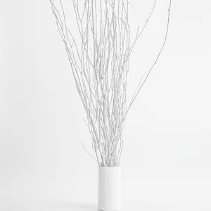 White Painted 4 Foot Birch Branches