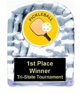 BuyAwardsandTrophies Pickleball Cracked Ice Trophy (3.5")