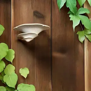 Mushroom Wall Rack, Mushroom Decorative Storage | Cute Mushroom Rack | Whimsical Fairy Tale Room Wall Art | Home Decorative Rack Display Wall Mount Design