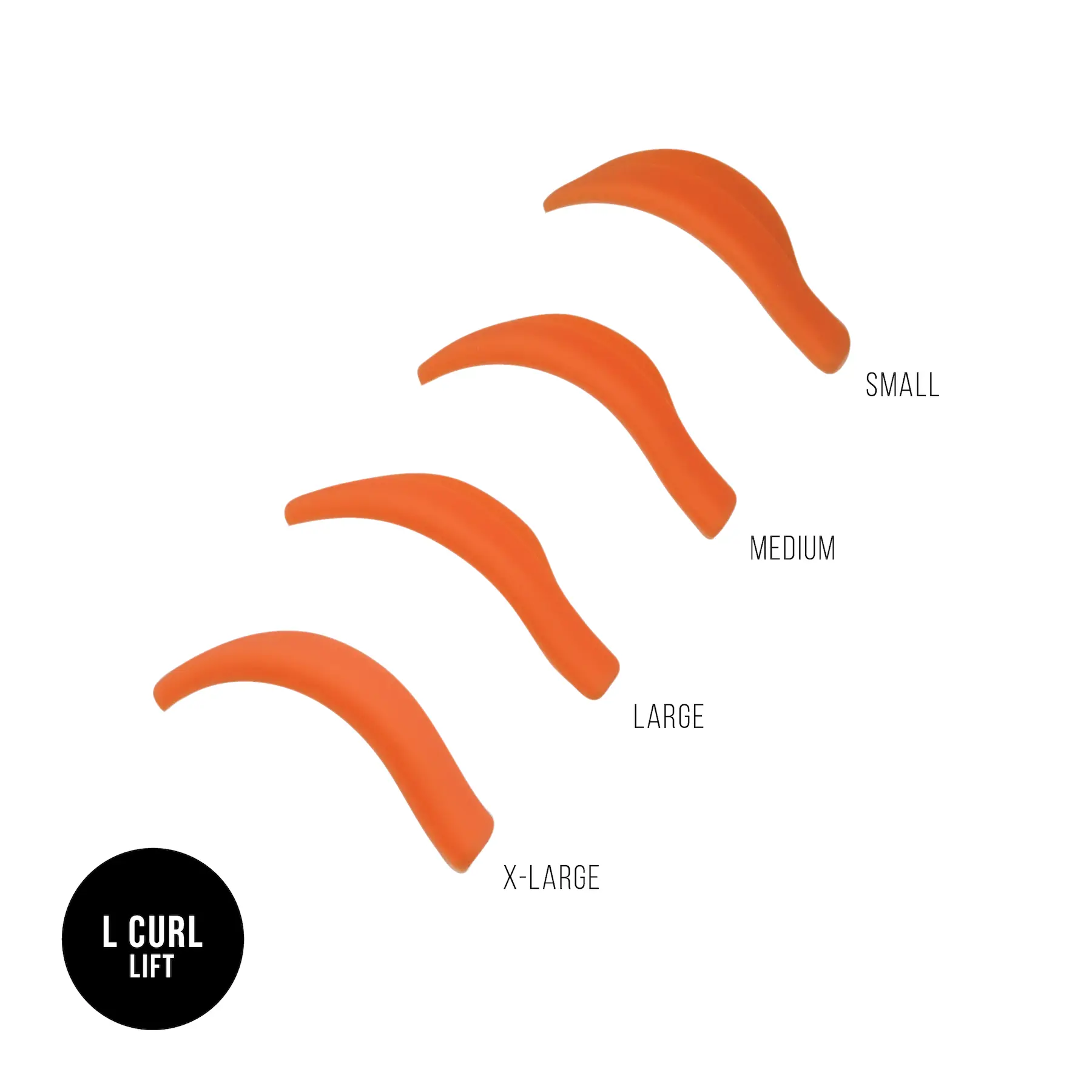 Lash Shields L Curl Lash Shields L Curl