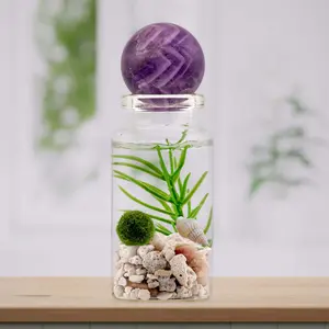 Moss Ball Pet Terrarium - The Alchemist's Collection - Pet Moss Balls