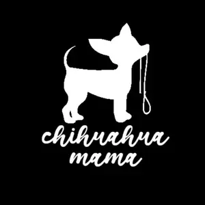 chihuahua dog pet funny  vinyl decal sticker 5"