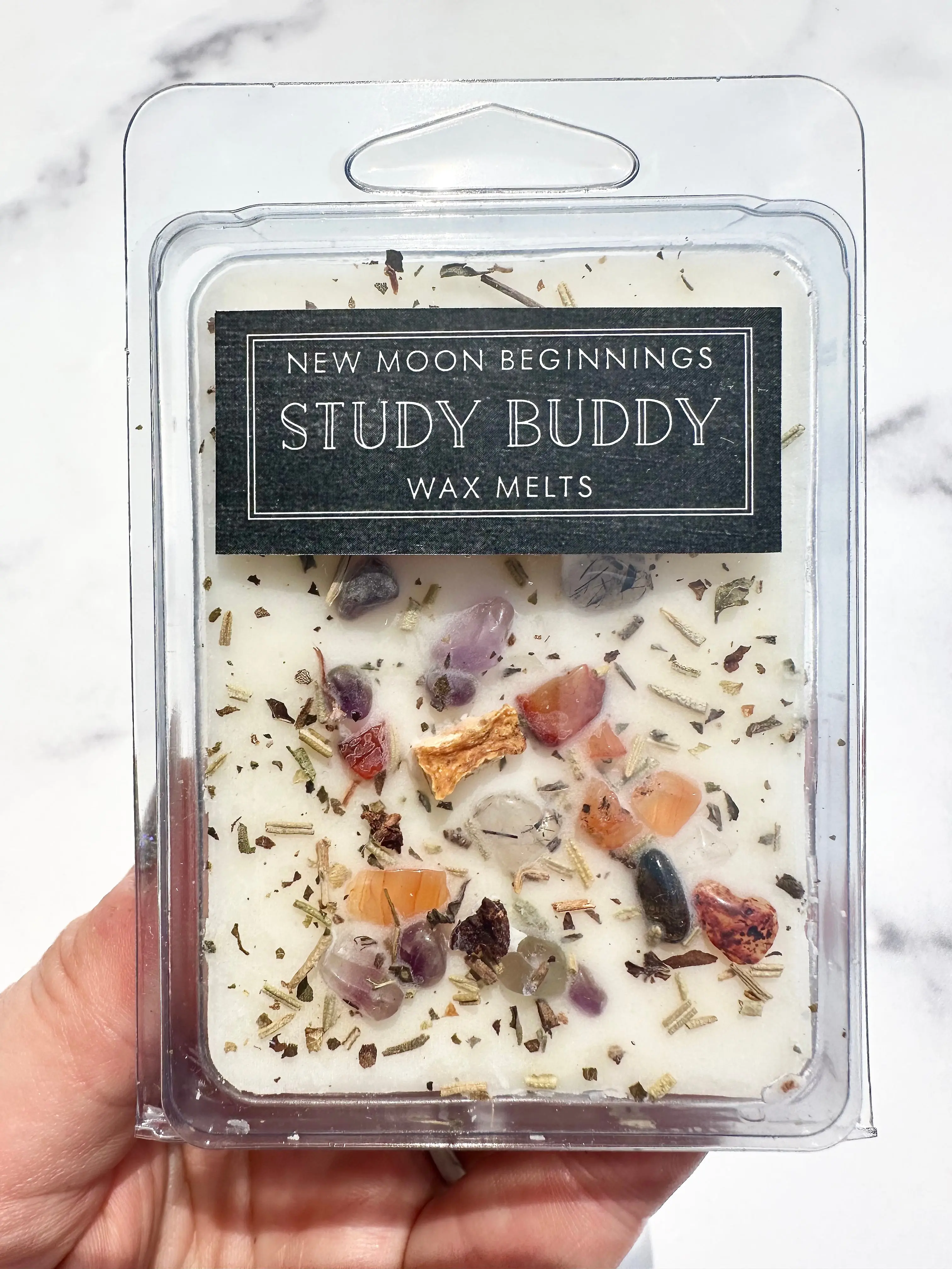Study Buddy