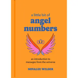 A Little Bit of Angel Numbers by Novalee Wilder [Hardcover Book]