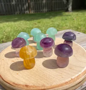 Rainbow Fluorite Crystal Mushroom