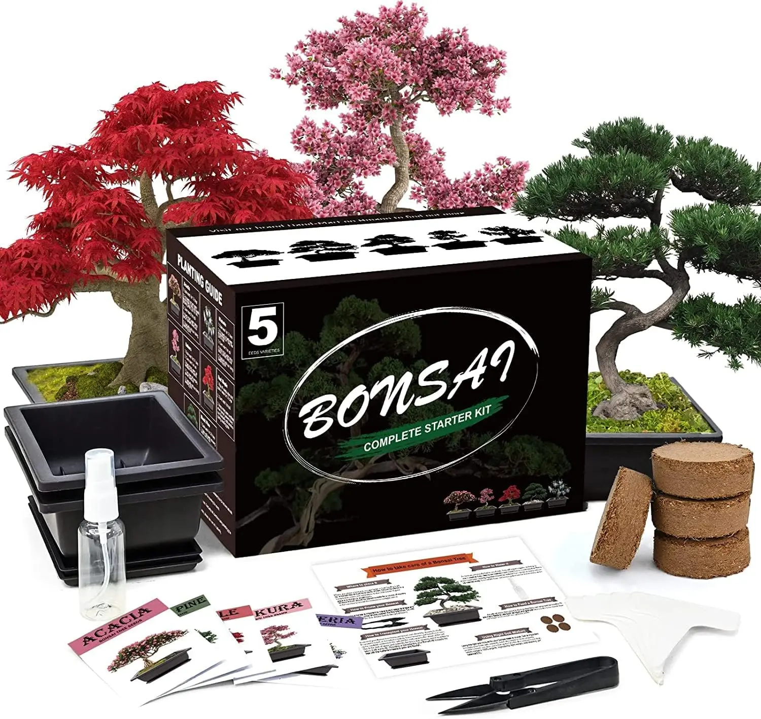 Indoor Bonsai Tree Complete Starter Kit - Bonsai Tree Kit for Beginners, DIY Gift for Birthdays, Plant Supplies, Planting Box, Indoor Gardening Tools, Premium Soil, 5 Plant Markers (Home Improvement Garden Support), Holidays
