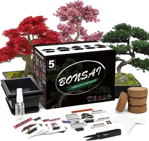 Complete Bonsai Tree Indoor Starter Kit Great Gardening Potted Plant Growing DIY()