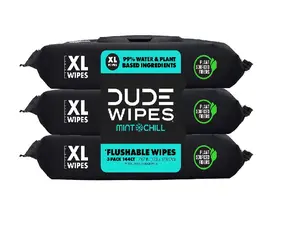 DUDE Wipes - Flushable Wipes - 3 Pack, 144 Wipes - Mint Chill Extra-Large Adult Wet Wipes - Vitamin-E, Aloe, Eucalyptus & Tea Tree Oils - Septic and Sewer Safe