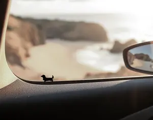 Long Hair Doxie Dachshund dog decal, easter egg decal, pet decal, pet lover, dog mom decal , weiner dog, decal for cars, trucks, water bottles, laptops, durable, high quality adhesive vinyl