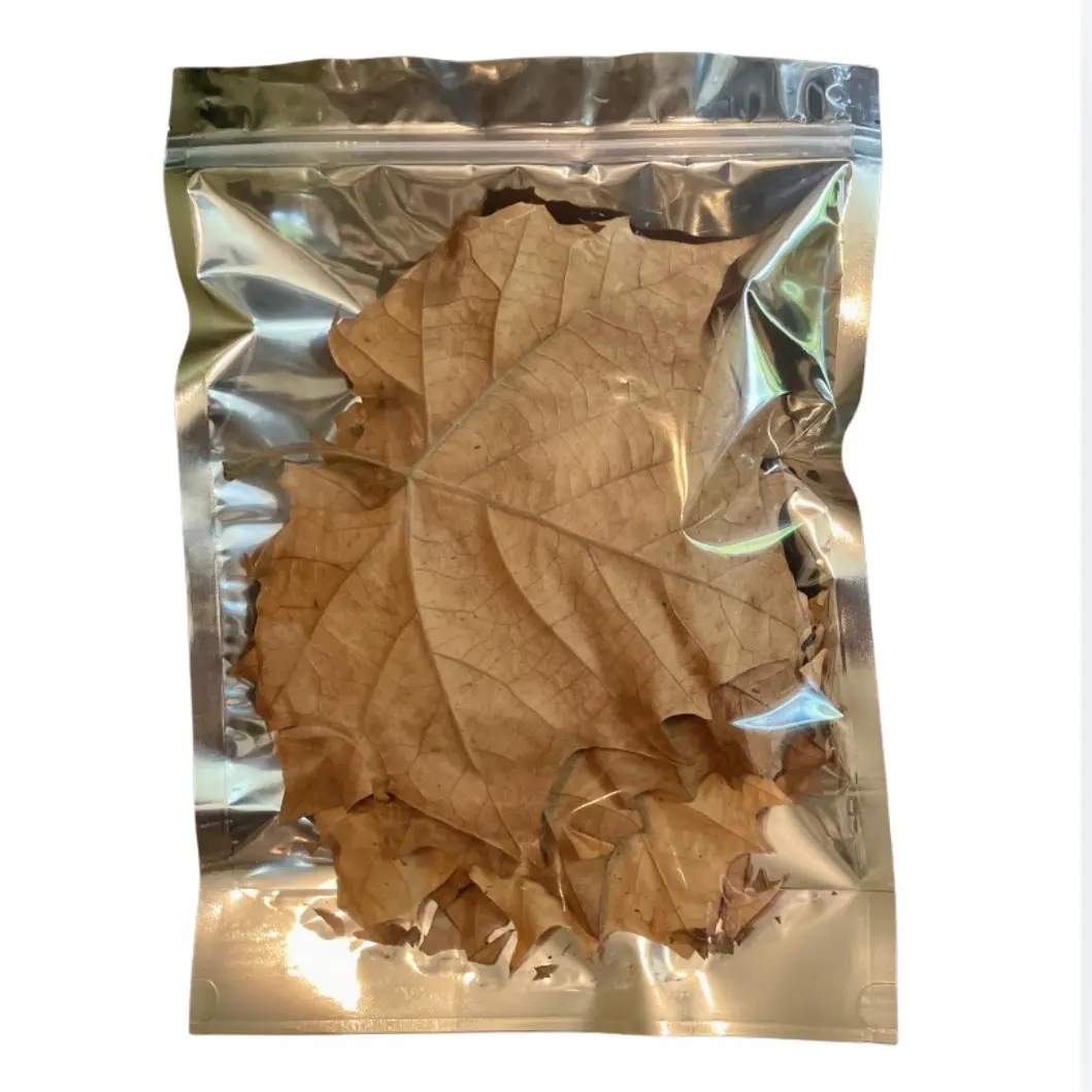 JRS Sycamore Leaf Litter