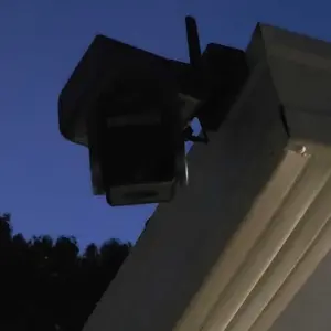 review image 9