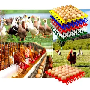 10/15-Pack  Plastic Egg Tray Egg Crates 30-Egg Flats for  Chicken Farmers, Stackable Egg Cartons Hold Multiple Eggs,  for Storing, Sorting, and Shipping Eggs, Durable and