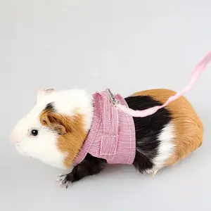 Adjustable Small Pet Harness & Leash Set for Rabbits, Hamsters, & More