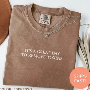 Comfort Colors® It's A Great Day To Remove Toxins T-Shirt, Dialysis Nurse Shirt, Dialysis Tech Shirt, Nurse Appreciation Gift, Shirt for Nurse XLR