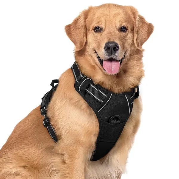 rabbitgoo Dog Harness, No-Pull Pet Harness with 2 Leash Clips, Adjustable Soft Padded Dog Vest