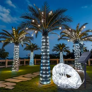 Solar Rope Light 33FT 100L Cool White IP65 Weatherproof Outdoor LED Copper Fairy String Tube Lights for Christmas Room Decor Porch Yard Home Wedding Vacation Flexible Wire
