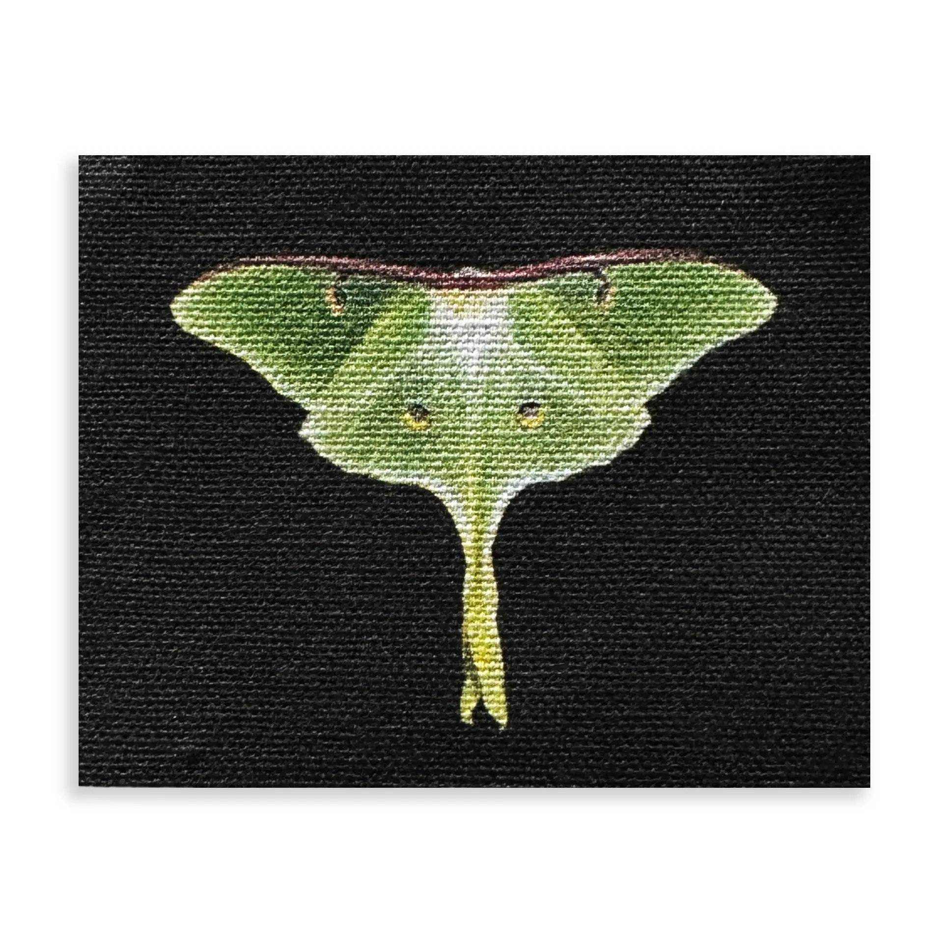 Luna Moth Sew-On Patch Luna Moth Sew-On Patch
