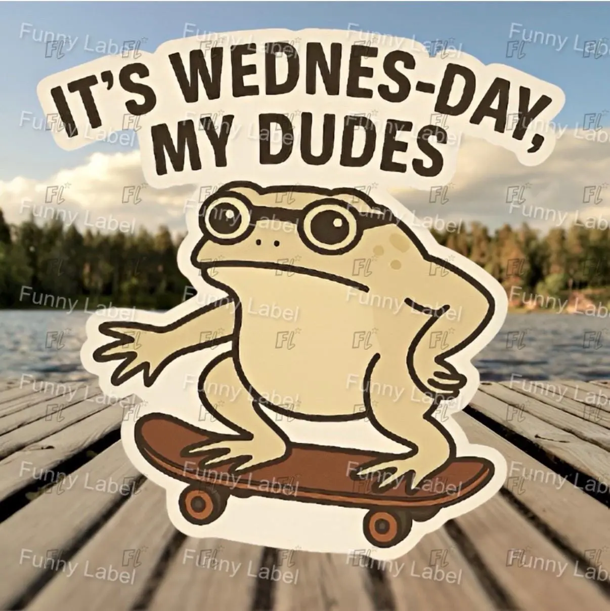 Decorative Stickers, Die-Cut Adhesive "It Is Wednesday My Dudes" Frog Skater Toad Vinyl Decal - Funny Meme Sticker for DIY Scrapbooking & Stamping, Decorative Sticker Stickers, Die-Cut Stickers
