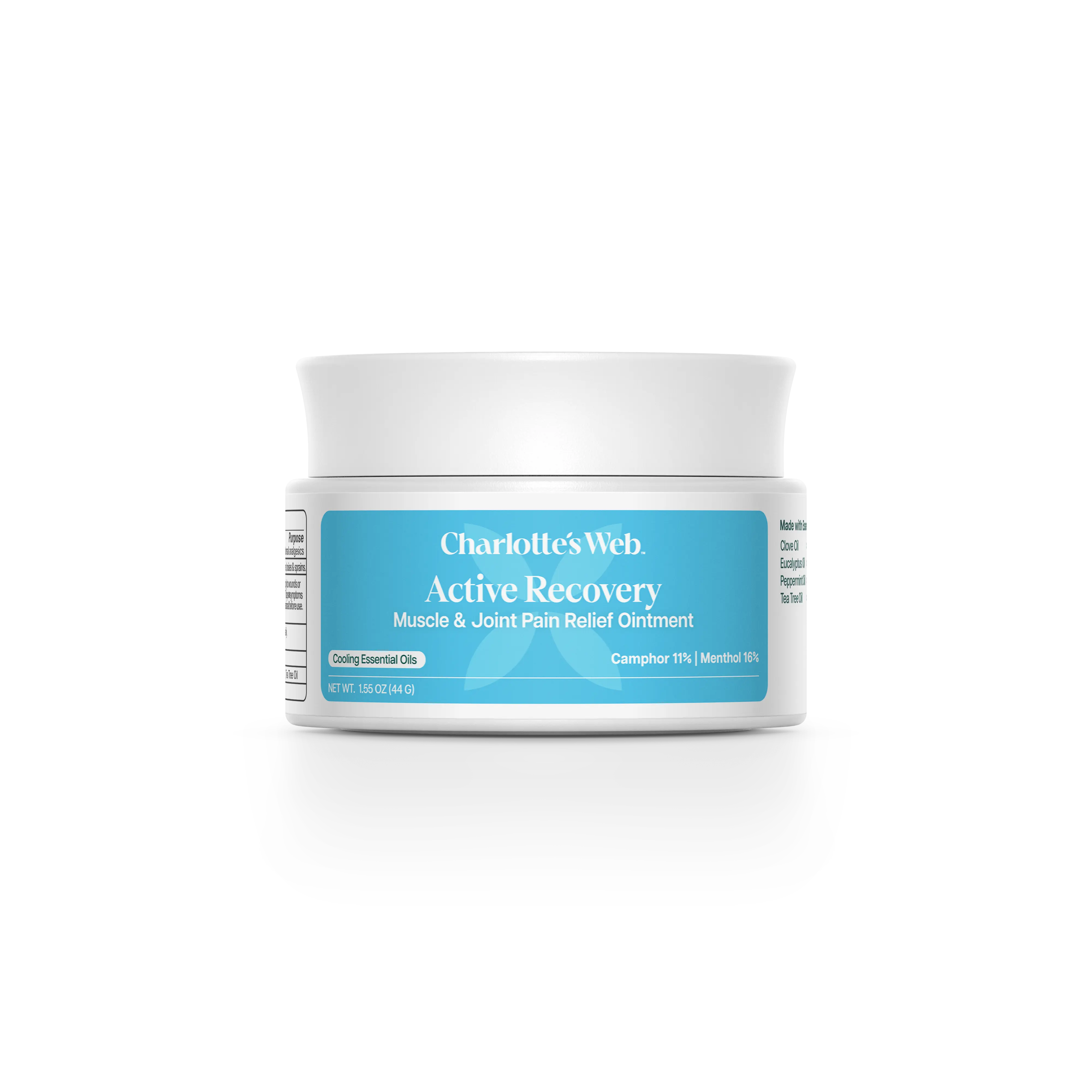 Active Recovery Muscle & Joint Pain Relief Ointment