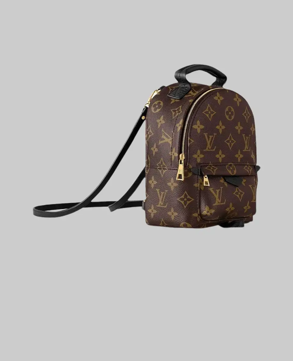 Pre-owned Louis Vuitton LV Palm Springs Mini Convertible Crossbody Backpack
