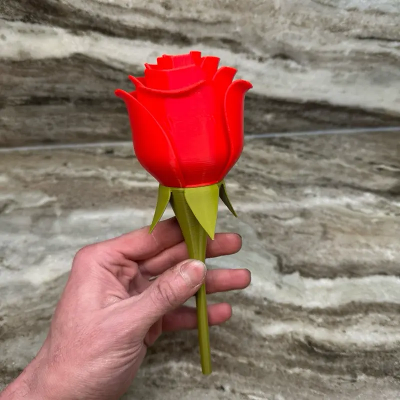 3d printed rose