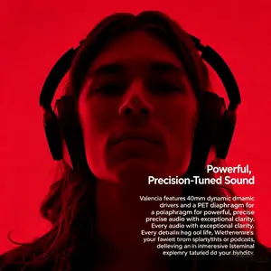 noise cancelling headphone wt1