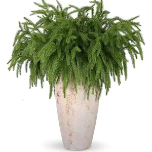 12 Pcs Artificial Norfolk Pine Branches, Norfolk Pine Artificial Pine Stems DIY Crafts Faux Christmas Greenary Norfolk Pine Branches for Xmas Wreath Garland Home Decor (12)