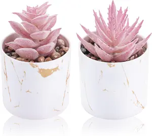 Set of 2 Succulents Plants Artificial Mini Fake Succulents Plants for Office Desk Accessories for Women Pink Home Vanity Decor