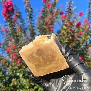 Aloe Bliss Soap Bar- vegan, plant based, natural, hydrating