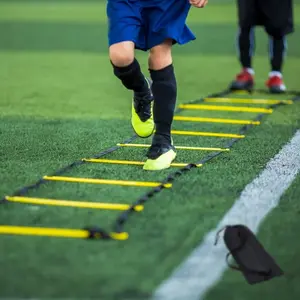 Agility Ladder Speed Training Ladder, Portable Football Agility Ladder, Detachable PP Material, Jump Grid Rope Ladder, Workout Equipment, Sports Equipment