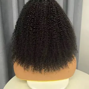 Kinky Curly Closure Wig