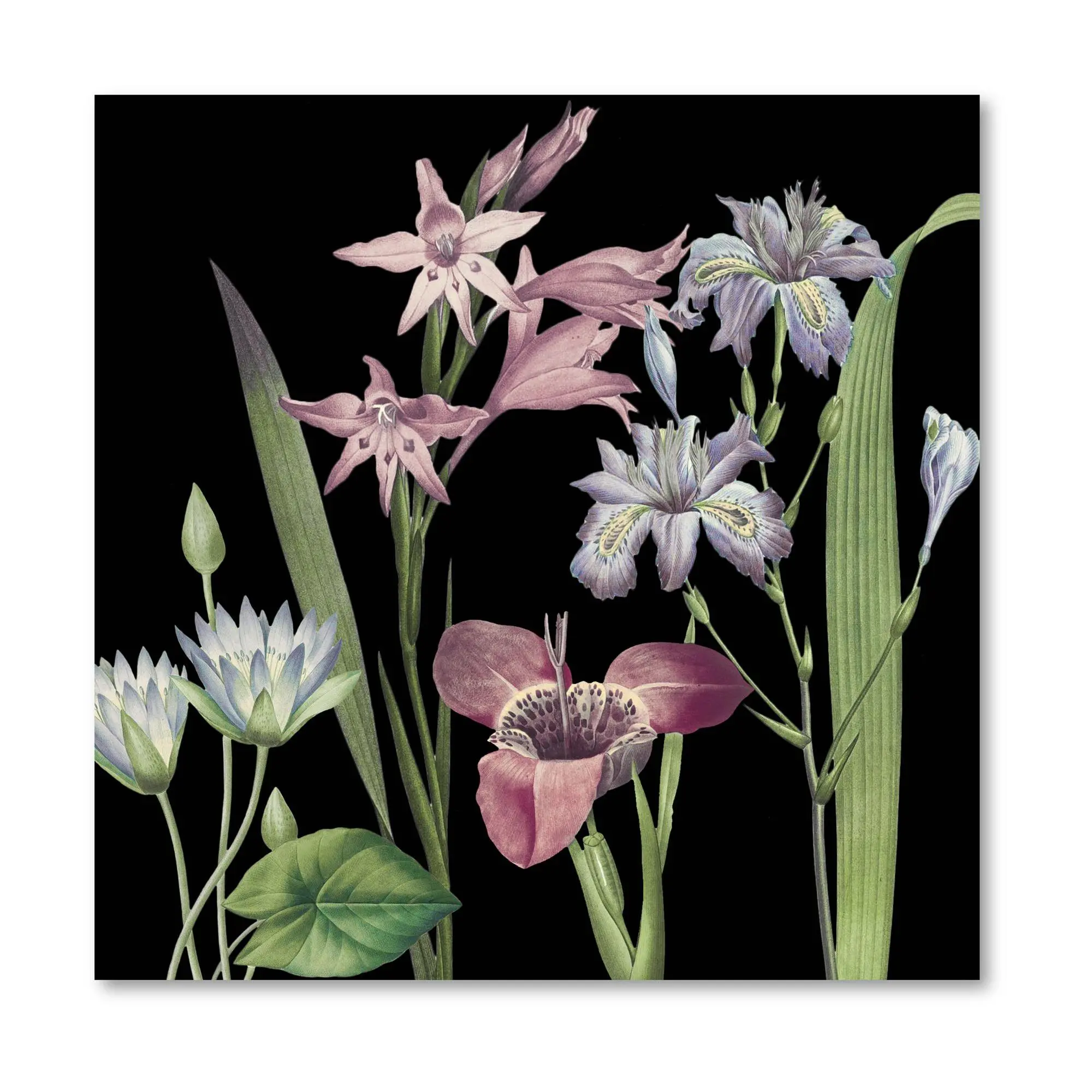 Courtside Market Dusty Plum Botanical II 16x16Canvas Wall Art