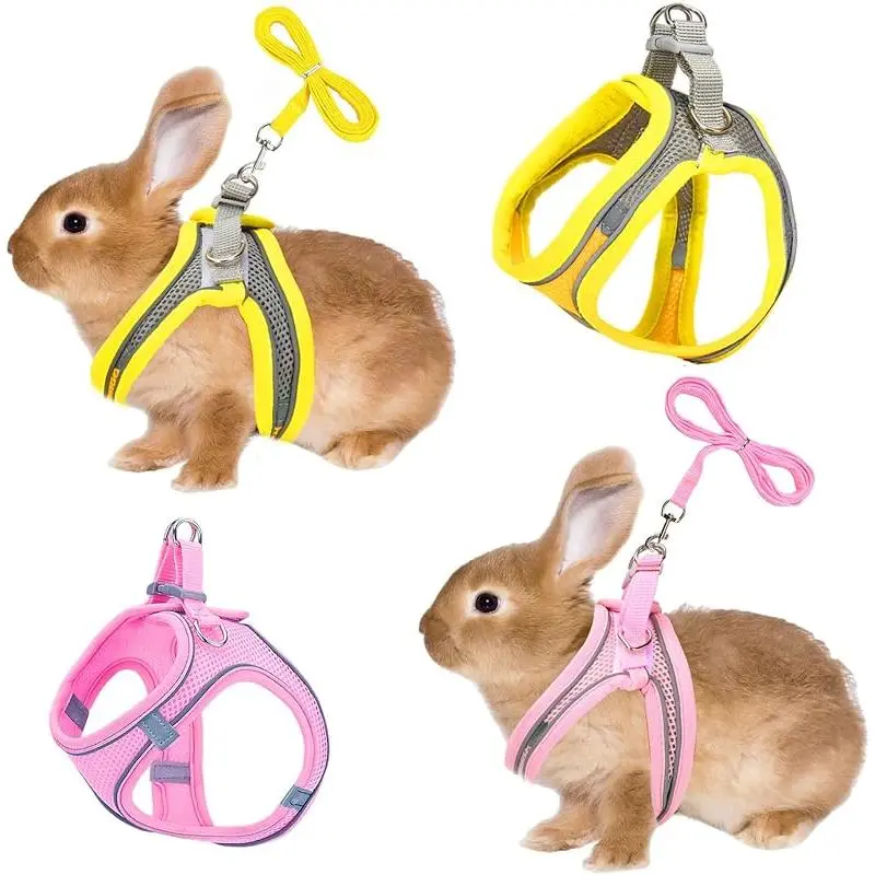 Pink and Yellow