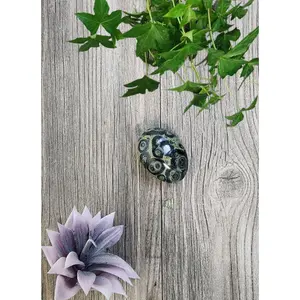 Kambaba Jasper Palm Stone