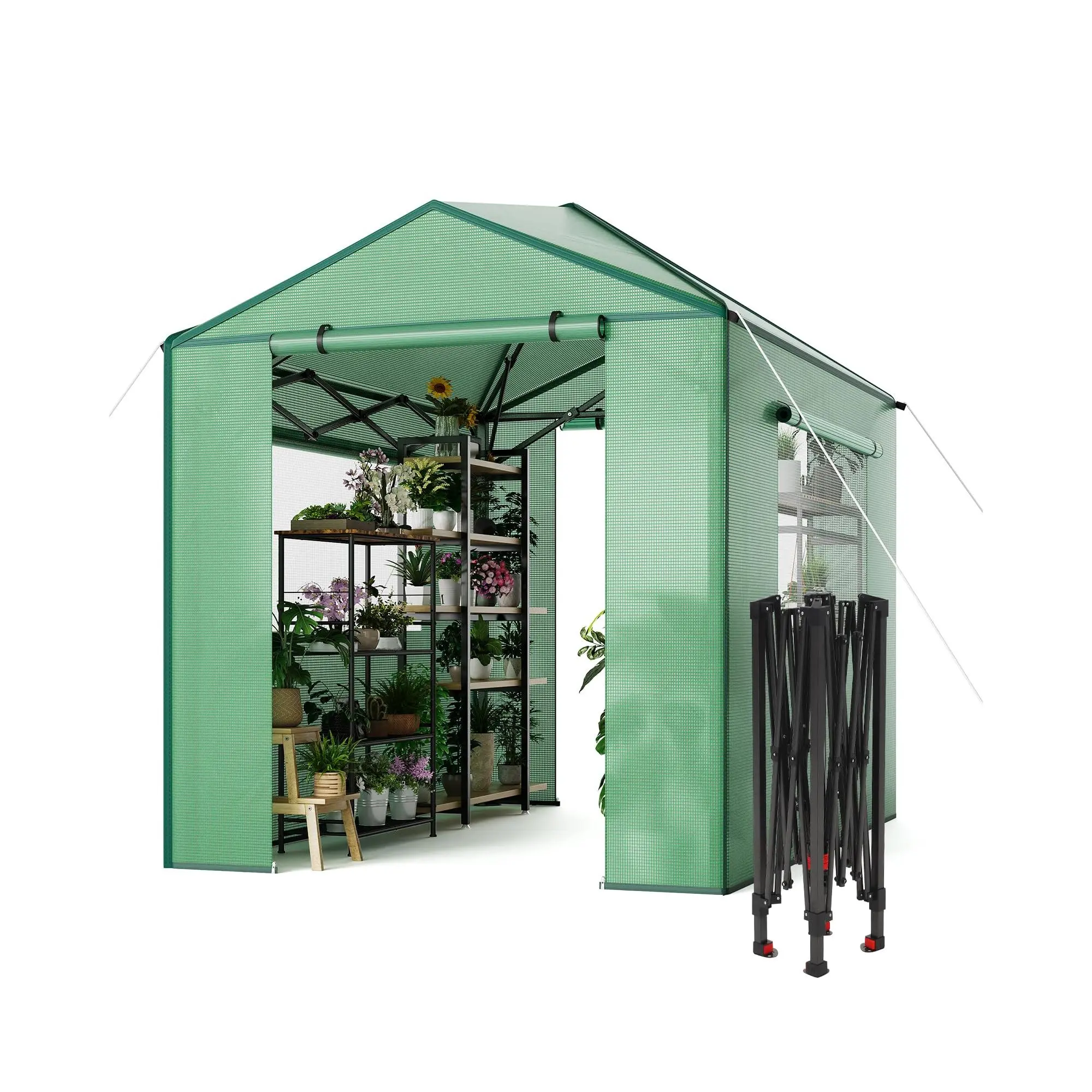 GARVEE 8x6 FT Foldable Pop-Up Walk-In Outdoor Greenhouse with Zippered Doors, Window, PE Cover for Garden Patio Backyard (96x72 in)