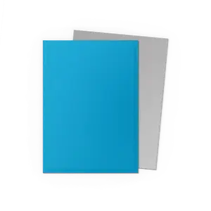 Dragon Shield: Sky Blue & Silver - Matte Dual Sleeves (100)