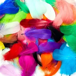 800pcs Colorful Feathers 20 Colors Craft Feathers 3-5 Inches Assorted Rainbow for Kids Handmade Wedding DIY Decorations Natural Feather