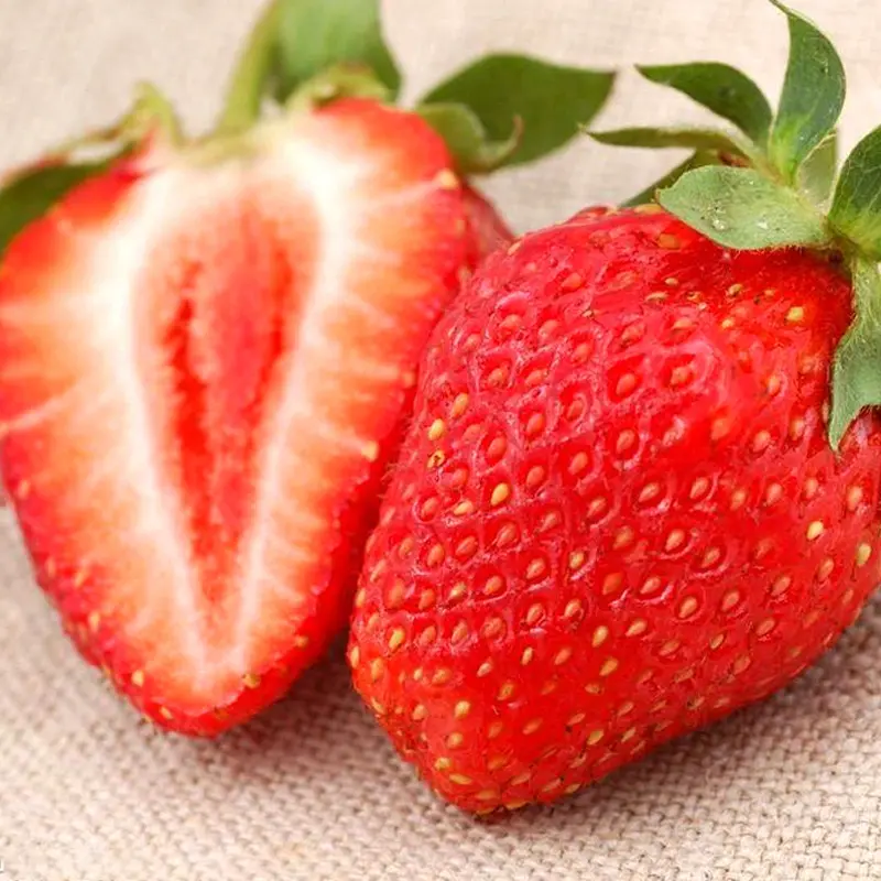 1000pcs Four seasons cream strawberry seeds Autumn and winter strawberry pot flowering fruit indoor and outdoor pot balcony flower seeds