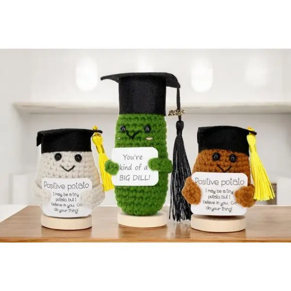 Graduation Positive Pickle with Stand, Graduation Potato Keepsake, Personalized Handmade Crochet Gift