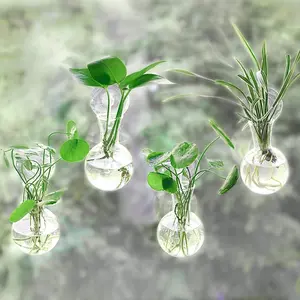 Window Plant Propagation Station, 4 Counts/set Bulb Vase with Suction Cups, Glass Plant Hanging Terrarium, Glass Hydroponics Plant Containers, Office Home Decor, Hanging Planters